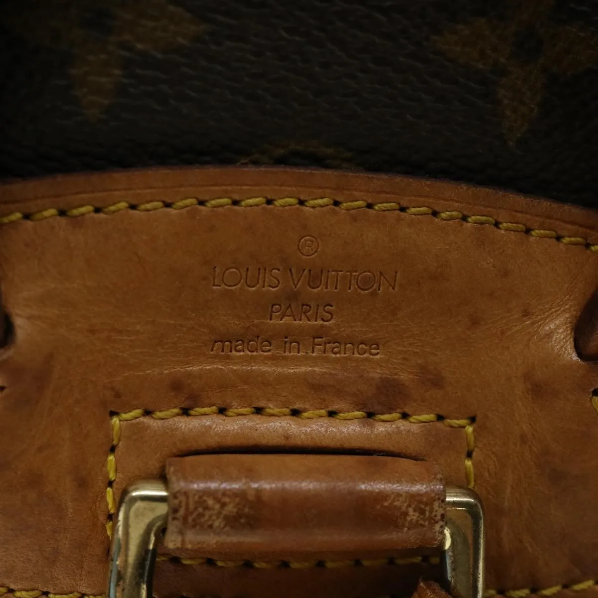 Louis Vuitton Montsouris Backpack