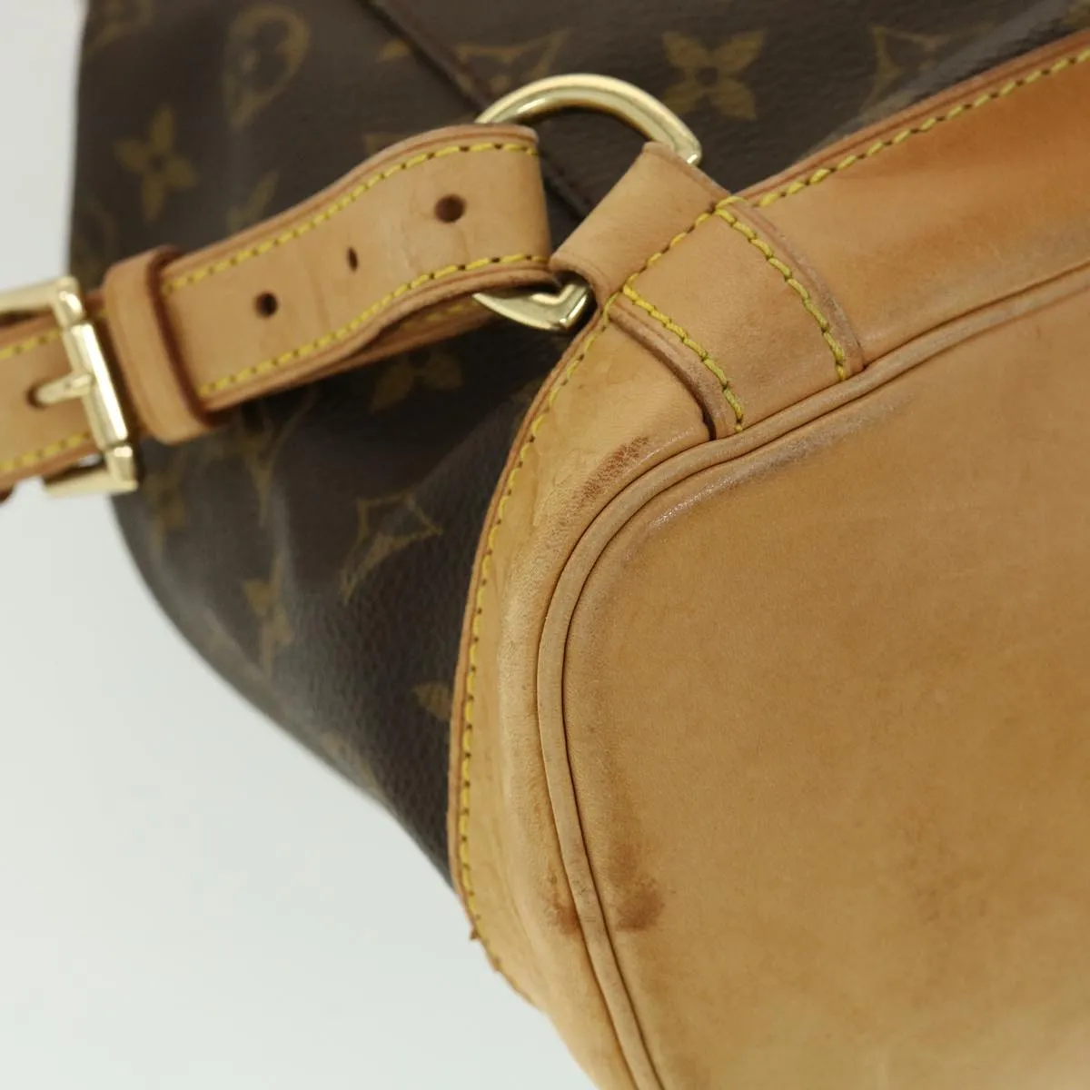 Louis Vuitton Montsouris MM Backpack