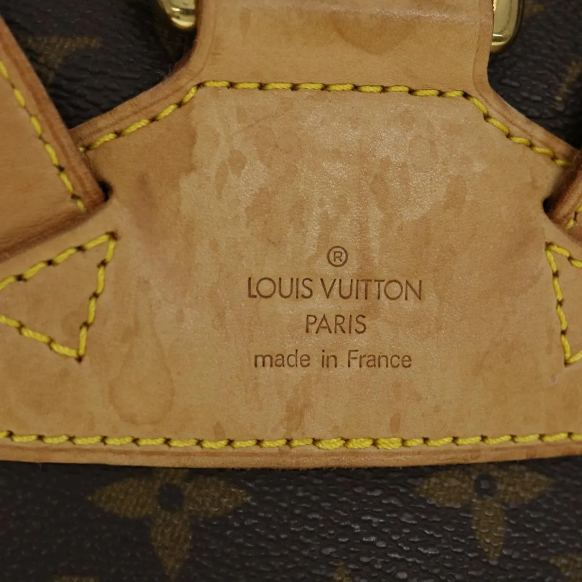 Louis Vuitton Montsouris MM Backpack