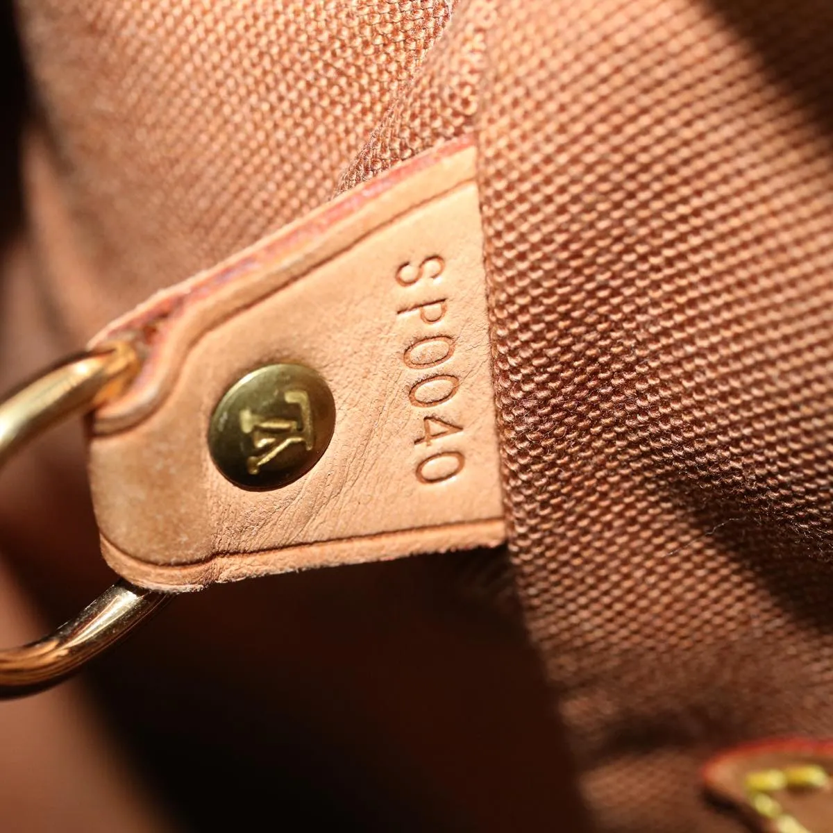 Louis Vuitton Montsouris MM Backpack
