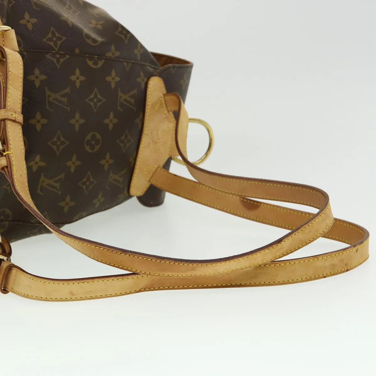Louis Vuitton Montsouris MM Backpack